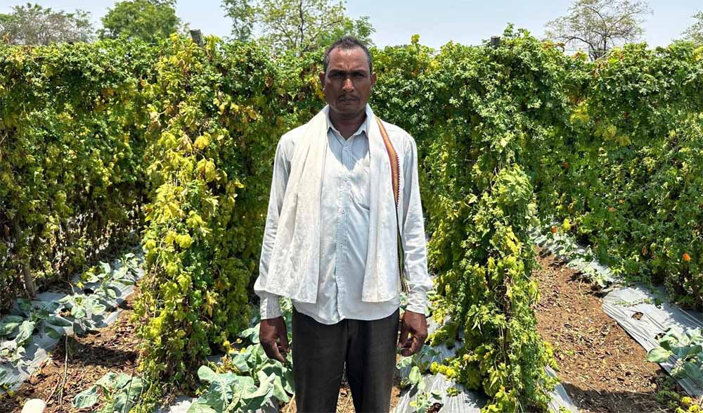 कोसमी में सफल बोर खनन से दूर हुआ जल संकट, ग्रामीणों के चेहरे खिले! कोसमी में सफल बोर खनन से दूर हुआ जल संकट, ग्रामीणों के चेहरे खिले!
