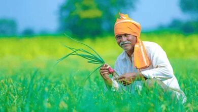 बदलती खेती में नैनो यूरिया और नैनो डीएपी बन रहे किसानों की नई पसंद