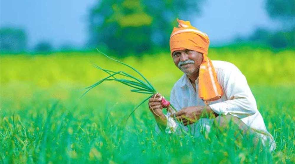 बदलती खेती में नैनो यूरिया और नैनो डीएपी बन रहे किसानों की नई पसंद