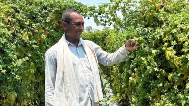 वाटरशेड योजना बनी किसान छबी लाल की समृद्धि का आधार