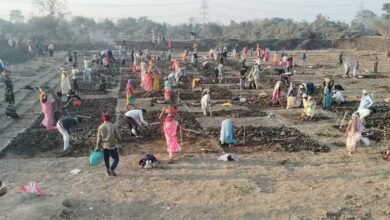 “जल संरक्षण के साथ मिल रहा बंपर रोजगार, मोर गांव, मोर तरिया” अभियान से संवर रहे ग्रामीण क्षेत्र