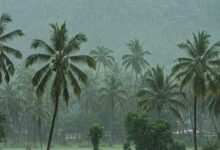 केरल में मॉनसून की रफ्तार धीमी, मौसम विभाग ने बताई देरी की वजह