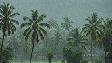 केरल में मॉनसून की रफ्तार धीमी, मौसम विभाग ने बताई देरी की वजह