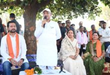 कटहल–गुलमोहर की छांव में सजी चौपाल, मुख्यमंत्री ने सरोधी में सुनी जनता की आवाज