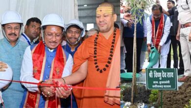 बदलता छत्तीसगढ़: वनोपज की चमक से संवरती ग्रामीण अर्थव्यवस्था