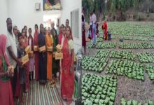 तेन्दूपत्ता से बदली जिंदगी, बढ़ी आय और सम्मान बढ़ी आय और सम्मान