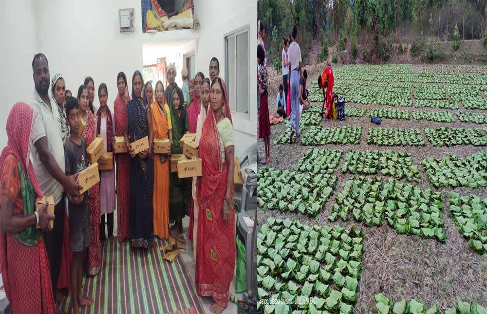 तेन्दूपत्ता से बदली जिंदगी, बढ़ी आय और सम्मान बढ़ी आय और सम्मान