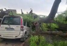 यूपी के कई जिलों में आंधी-बारिश का कहर, 52 लोगों की दर्दनाक मौत