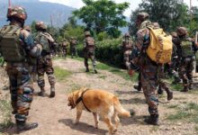 श्रीनगर में बड़ी कार्रवाई: नाका चेकिंग के दौरान 2 संदिग्ध आतंकी गिरफ्तार, हथियार और LeT पोस्टर बरामद