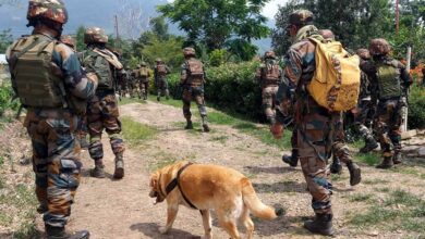 श्रीनगर में बड़ी कार्रवाई: नाका चेकिंग के दौरान 2 संदिग्ध आतंकी गिरफ्तार, हथियार और LeT पोस्टर बरामद