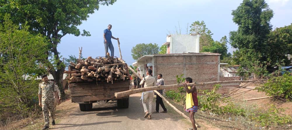 गौरेला क्षेत्र में सागौन की अवैध कटाई पर वन विभाग की बड़ी कार्रवाई