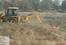 बिलासपुर की लाइफलाइन अरपा के तट पर उगेगा मियावाकी जंगल