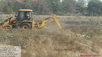 बिलासपुर की लाइफलाइन अरपा के तट पर उगेगा मियावाकी जंगल