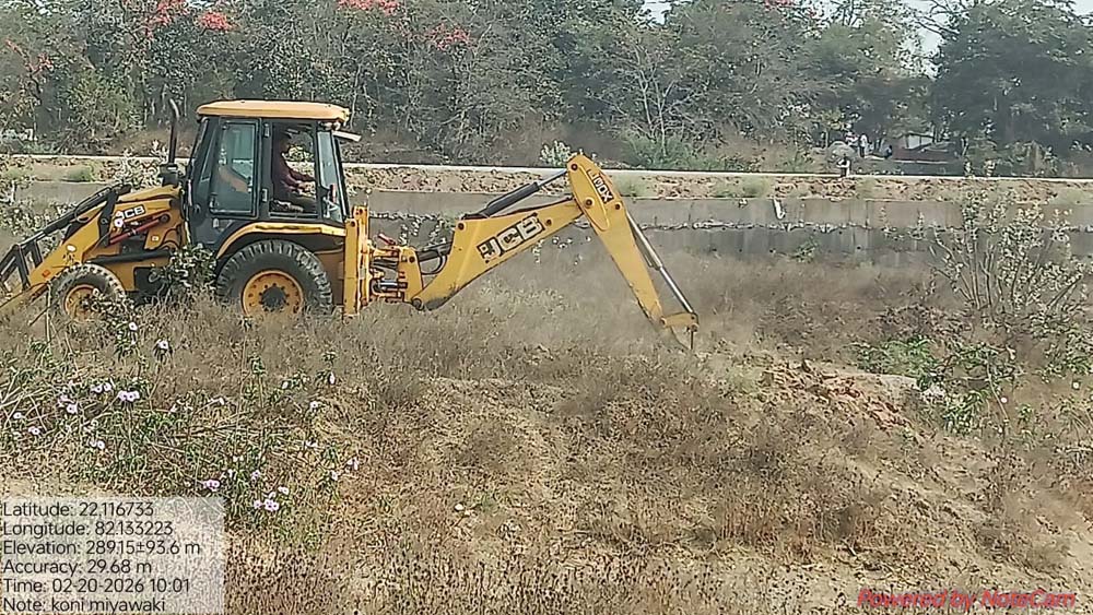 बिलासपुर की लाइफलाइन अरपा के तट पर उगेगा मियावाकी जंगल