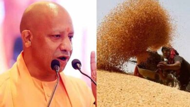 प्रदेश में गेहूं खरीद ने पकड़ी रफ्तार, 28 अप्रैल तक 6.10 लाख मीट्रिक टन गेहूं की खरीद
