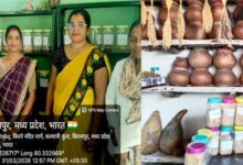 परंपरागत बीजों के संरक्षण में आजीविका मिशन की अनूठी पहल