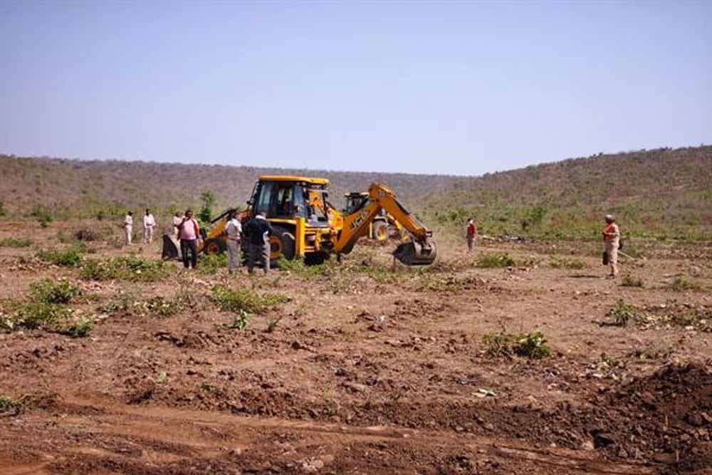 नीमच में 12 हेक्टेयर वन भूमि अतिक्रमण के प्रयास से मुक्त