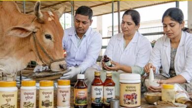 गो संरक्षण विशेष : यूपी की पंचगव्य थेरेपी देगी भारतीय चिकित्सा पद्धति को नई दिशा गो संरक्षण विशेष : यूपी की पंचगव्य थेरेपी देगी भारतीय चिकित्सा पद्धति को नई दिशा
