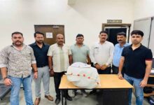 मध्यप्रदेश पुलिस की अवैध मादक पदार्थों की जब्तील के विरुद्ध बड़ी कार्यवाही
