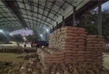 MP में रिकॉर्ड गेहूं खरीदी! 13.36 लाख किसानों से 103 लाख मीट्रिक टन उपार्जन