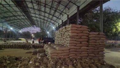 MP में रिकॉर्ड गेहूं खरीदी! 13.36 लाख किसानों से 103 लाख मीट्रिक टन उपार्जन MP में रिकॉर्ड गेहूं खरीदी! 13.36 लाख किसानों से 103 लाख मीट्रिक टन उपार्जन
