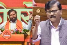 संजय राउत का शिंदे गुट पर तीखा हमला, ‘कुत्ते वाले’ बयान से बढ़ा विवाद