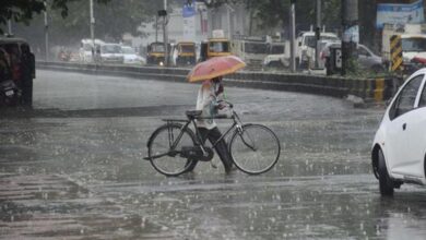 MP Monsoon Update: कब आएगा मानसून? भीषण गर्मी से जूझ रहे जिलों को जल्द राहत, 60 Kmph तूफान का अलर्ट