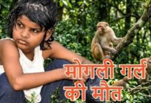 बंदरों के बीच मिली बच्ची की दर्दनाक कहानी का अंत, नहीं रहीं एहसास
