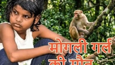 बंदरों के बीच मिली बच्ची की दर्दनाक कहानी का अंत, नहीं रहीं एहसास