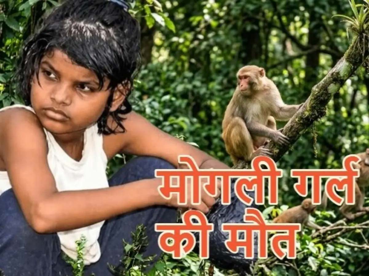 बंदरों के बीच मिली बच्ची की दर्दनाक कहानी का अंत, नहीं रहीं एहसास