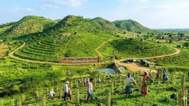 सोनभद्र की छह पहाड़ियों पर ट्रेंच तकनीक से बड़े पैमाने पर पौधारोपण की तैयारी