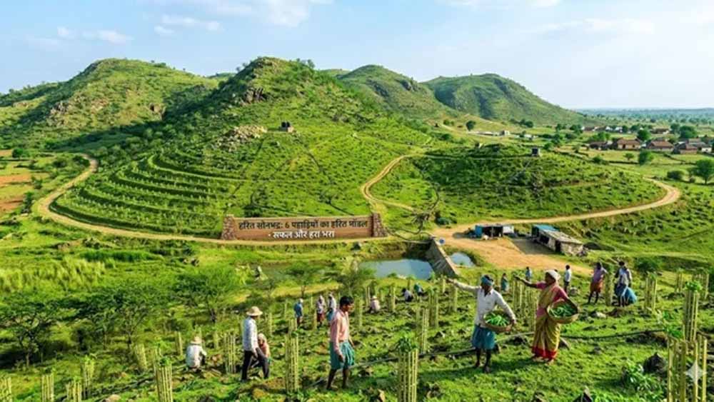 सोनभद्र की छह पहाड़ियों पर ट्रेंच तकनीक से बड़े पैमाने पर पौधारोपण की तैयारी सोनभद्र की छह पहाड़ियों पर ट्रेंच तकनीक से बड़े पैमाने पर पौधारोपण की तैयारी
