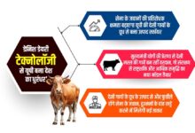 डेनिश डेयरी टेक्नोलॉजी से देसी गायों के दूध के उत्पाद बना यूपी बना देश का ‘धुरंधर’