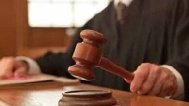 पंचायत चुनाव विवाद: लखनऊ बेंच ने सरकार से मांगी चुनाव की संभावित तारीख, 10 जुलाई तक जवाब