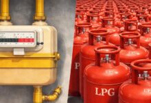 गैस सिलेंडर का दौर खत्म होने की ओर? सरकार के नए आदेश से LPG एजेंसियों में मची हलचल गैस सिलेंडर का दौर खत्म होने की ओर? सरकार के नए आदेश से LPG एजेंसियों में मची हलचल