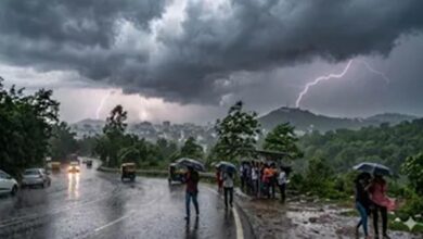 भोपाल-जबलपुर समेत 28 जिलों में बारिश, सीहोर में 61 किमी/घंटा की रफ्तार से चली आंधी; जानें MP में कब पहुंचेगा मानसून