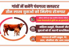 गांवों में बनेंगे पंचगव्य क्लस्टर, तीन लाख युवाओं को मिलेगा रोजगार