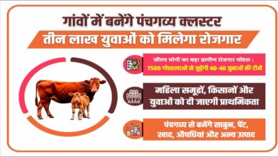 गांवों में बनेंगे पंचगव्य क्लस्टर, तीन लाख युवाओं को मिलेगा रोजगार