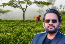 भारत के नए नियम से नेपाल की चाय इंडस्ट्री पर संकट, फैक्ट्रियों में उत्पादन ठप; अब पाकिस्तान-बांग्लादेश से उम्मीद