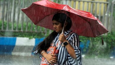 Weather Update: 17 राज्यों में भारी बारिश का अलर्ट, चक्रवाती तूफान की चेतावनी; मॉनसून ने पकड़ी रफ्तार