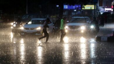 Monsoon 2026: मानसून से पहले उमस का कहर, बैतूल में 90% और भोपाल में 64% ह्यूमिडिटी; IMD का अलर्ट जारी