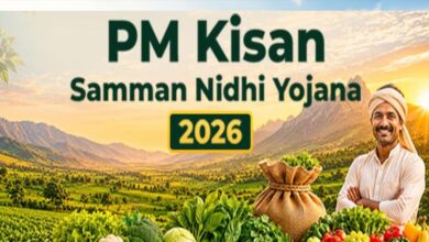 PM Kisan Yojana: किसानों को आज मिलेगा ₹2000 का तोहफा, जानें किस समय खाते में आएगी किस्त और कैसे चेक करें स्टेटस