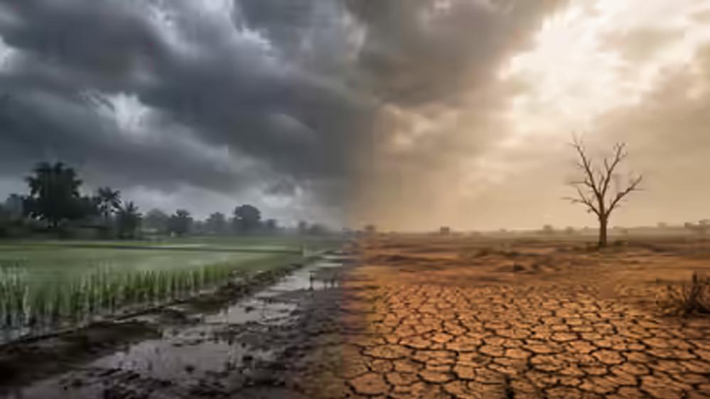 आधी बारिश, सूखा जून! अल नीनो के असर से देश ने देखा सबसे खराब मॉनसून का दौर आधी बारिश, सूखा जून! अल नीनो के असर से देश ने देखा सबसे खराब मॉनसून का दौर