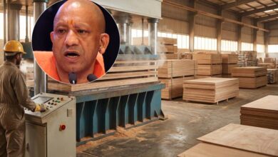 योगी सरकार प्लाईवुड उद्योग के लिए नई एग्रोफॉरेस्ट्री नीति पर कर रही विचार
