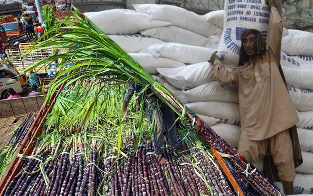 अल-नीनो और इथेनॉल की दोहरी मार! भारत के चीनी एक्सपोर्ट पर कई साल तक लग सकता है ब्रेक अल-नीनो और इथेनॉल की दोहरी मार! भारत के चीनी एक्सपोर्ट पर कई साल तक लग सकता है ब्रेक
