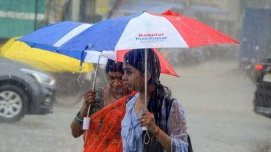 बालाघाट-रायसेन समेत 15 जिलों में आंधी-बारिश, 2 दिन में MP में मानसून की एंट्री के आसार बालाघाट-रायसेन समेत 15 जिलों में आंधी-बारिश, 2 दिन में MP में मानसून की एंट्री के आसार