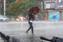 MP Weather: मध्य प्रदेश के 43 जिलों में आज बारिश का अलर्ट, मानसून की रफ्तार धीमी; ग्वालियर-चंबल को करना होगा इंतजार