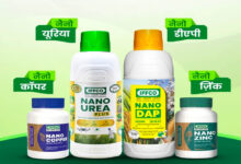 रायपुर : विशेष लेख : नैनो उर्वरक- छत्तीसगढ़ के खेती-किसानी में आई नई क्रांति