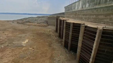 42 साल में पहली बार इतना सूखा बरगी डैम, जलस्तर इतना गिरा कि दिखने लगी तलहटी; विशेषज्ञों ने जताई चिंता 42 साल में पहली बार इतना सूखा बरगी डैम, जलस्तर इतना गिरा कि दिखने लगी तलहटी; विशेषज्ञों ने जताई चिंता