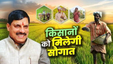 धान महोत्सव में किसानों की बल्ले-बल्ले! CM डॉ. मोहन यादव 1 जुलाई को सिवनी से जारी करेंगे ₹2.82 करोड़